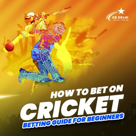 How to Bet on Cricket → Betting Guide for Beginners .